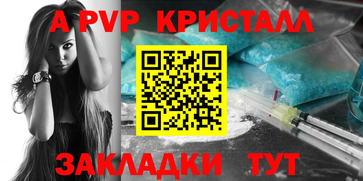 A PVP СК КРИС Волхов