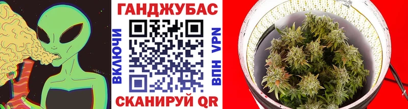 Канабис AK-47  купить  цена  Волхов 